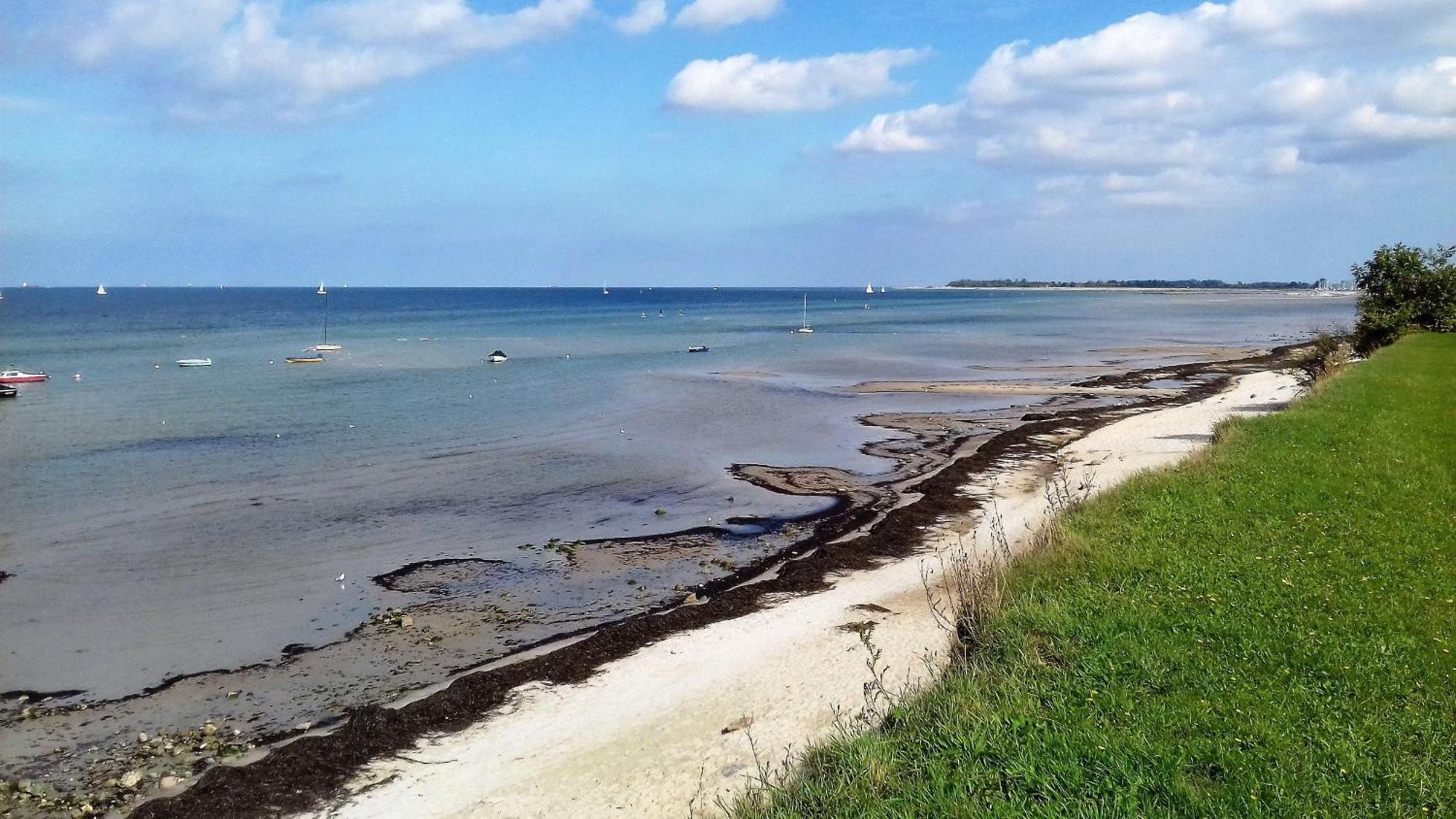 Ferienwohnung-Ostseestrand-In-Stein-Bei-Laboe شتاين المظهر الخارجي الصورة
